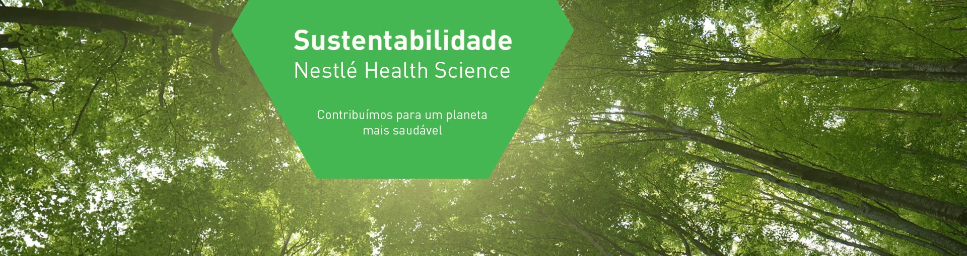 Sustentabilidade