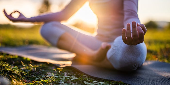 Active Life Yoga